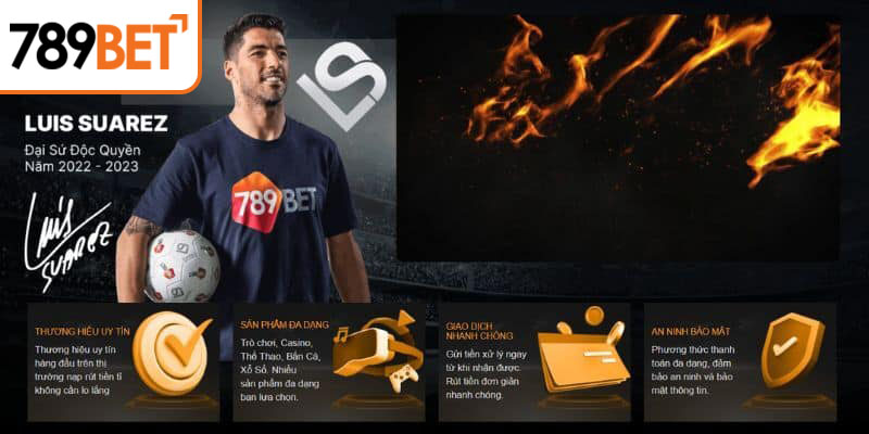 uy tắc và điều khoản khuyến mãi mừng thành lập 789Bet